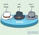 SEO là gì? Những điều cần biết về SEO cho người mới bắt đầu